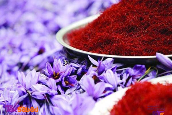 عکس نقاشی گل زعفران آسان