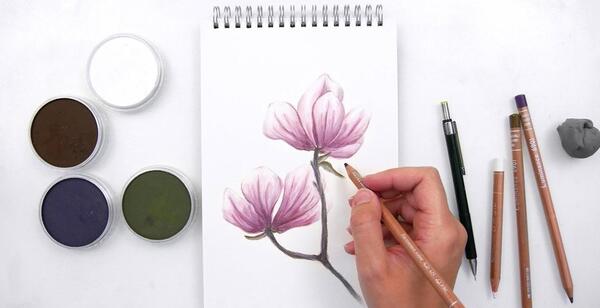 عکس آموزش نقاشی گل زعفران