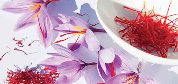 عکس آموزش نقاشی گل زعفران