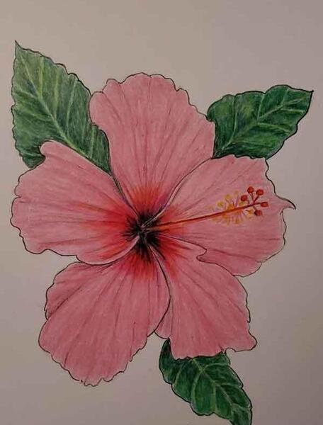 عکس نقاشی گل سخت و زیبا
