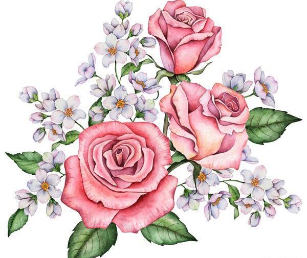 عکس نقاشی گل سرخ برای نمایش