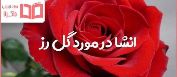 عکس نقاشی گل سرخ کلاس چهارم