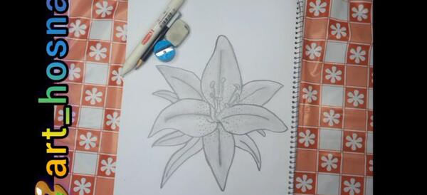 عکس نقاشی گل سوسن آسان