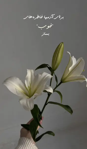 عکس نقاشی گل سوسن با ریشه