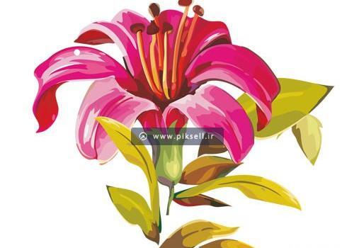 عکس نقاشی گل سوسن پلنگی