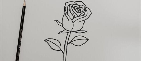 عکس نقاشی گل ساده با مداد سیاه