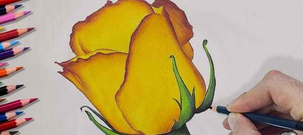عکس آموزش نقاشی گل ساده با مداد
