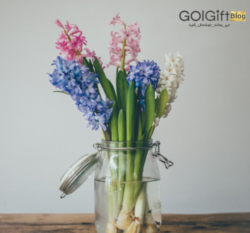 عکس نقاشی گل سنبل هفت سین
