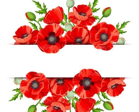 عکس نقاشی گل شقایق فانتزی