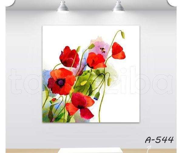 عکس نقاشی گل شقایق برای کودکان