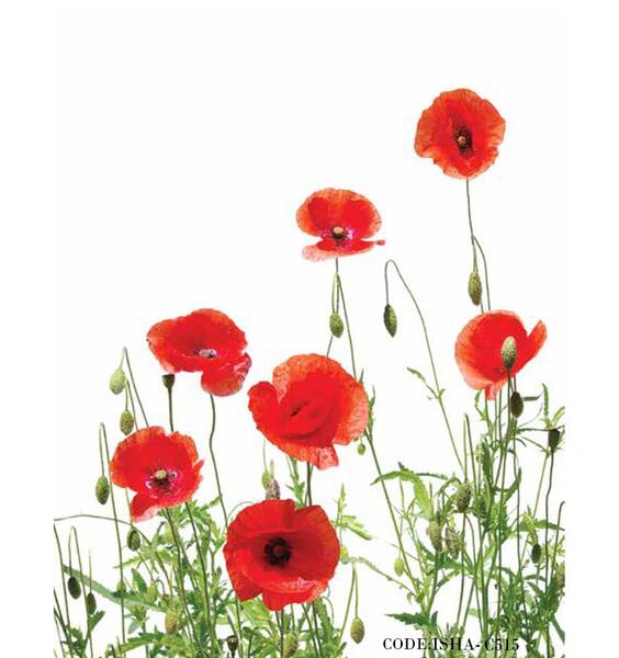 عکس نقاشی گل شقایق برای کودکان