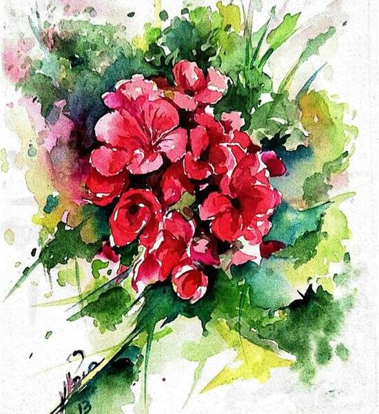 عکس نقاشی گل شمعدانی ساده