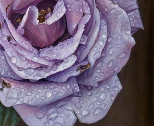 عکس نقاشی گل شبنم ساده