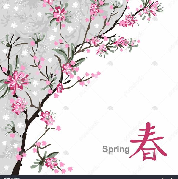 عکس نقاشی گل شکوفه