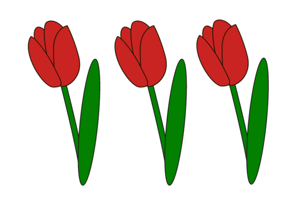 عکس نقاشی طراحی گل لاله