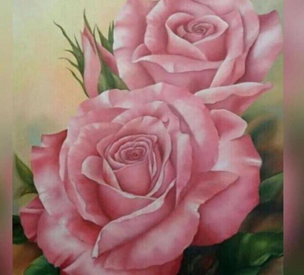 عکس نقاشی گل رز صورتی ساده