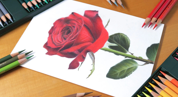 عکس نقاشی گل طراحی با مداد رنگی