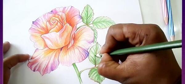 عکس نقاشی گل طراحی با مداد رنگی