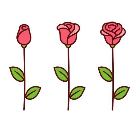 عکس نقاشی گل طراحی سخت