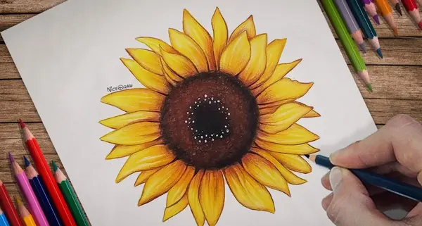 عکس نقاشی گل طراحی زیبا