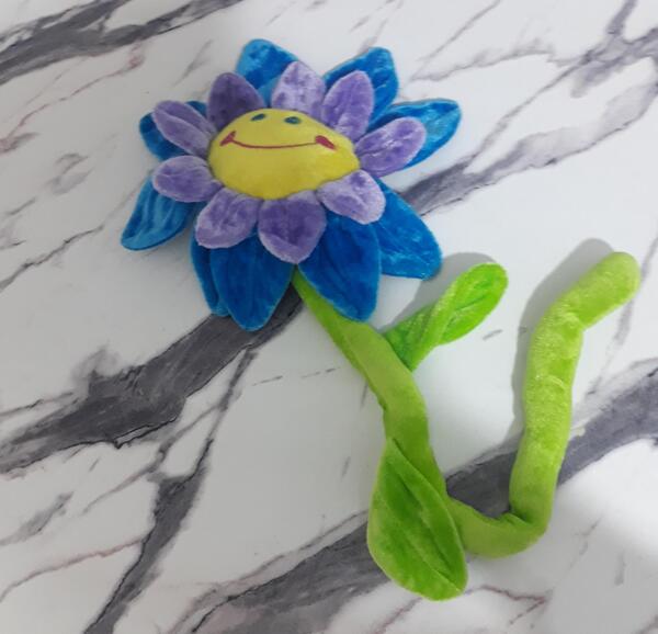 عکس نقاشی گل عروسک