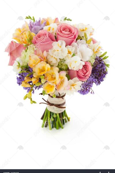 عکس نقاشی دسته گل عروس