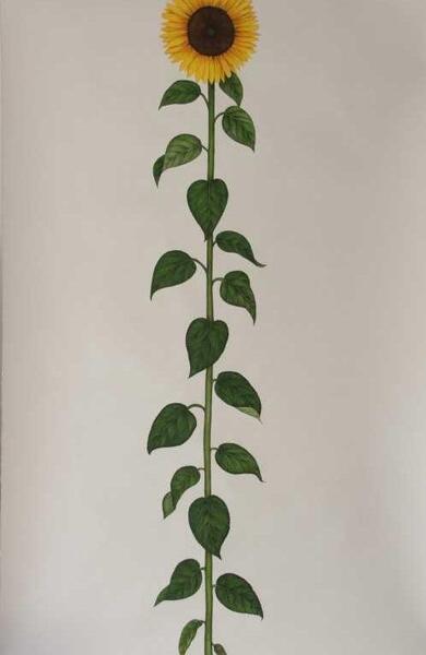 عکس نقاشی گل فروشی با گواش