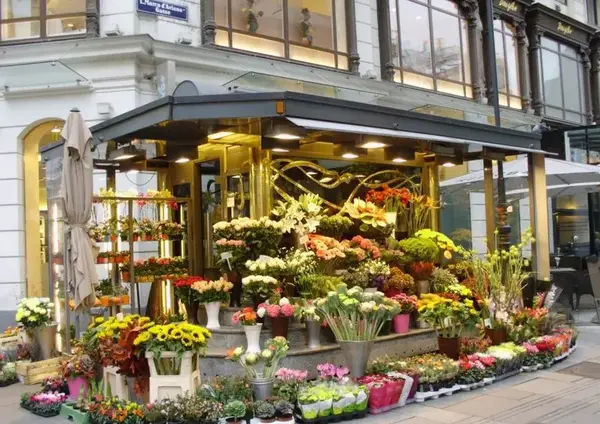 عکس نقاشی مغازه گل فروشی