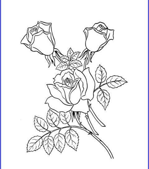 عکس نقاشی فیلم گل رز