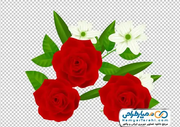 عکس نقاشی گل قرمز رز