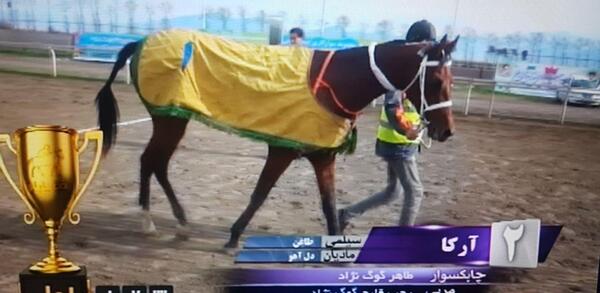 عکس مربی اسب سردار آزمون