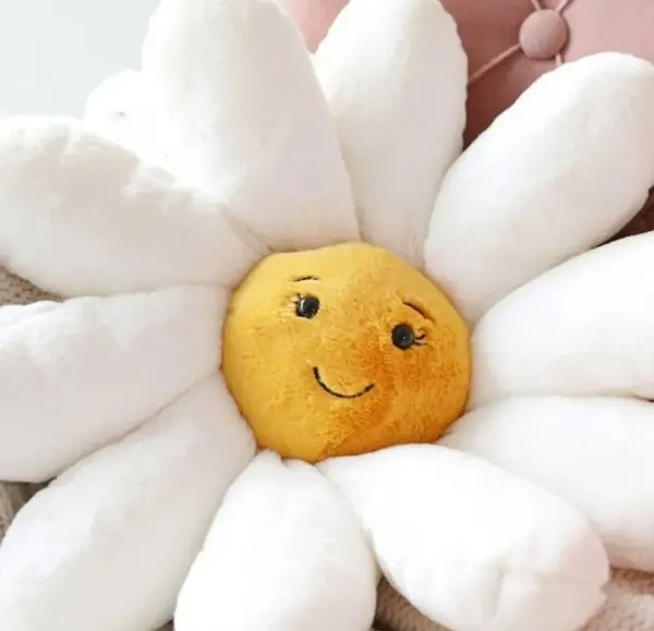 عکس نقاشی گل گلی در فیلم بالش ها