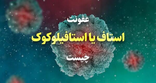 عکس استافیلوکوکوس اورئوس