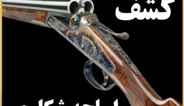 عکس شکار کبک با تفنگ