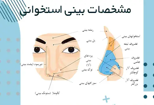 هزینه عکس آتلیه برای جراحی بینی