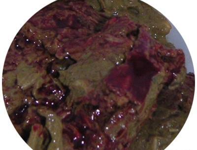 عکس مدفوع طبیعی کودک یک ساله