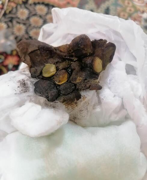 عکس مدفوع طبیعی کودک یک ساله