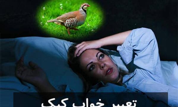 عکس نقاشی پرنده کبک