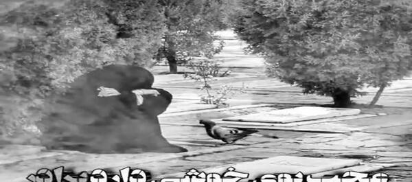 عکس کلیپ پنجشنبه های دلتنگی برادر فوت شده