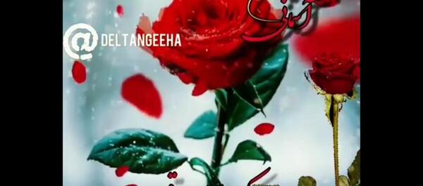 عکس دلتنگی روز پنجشنبه برای اموات