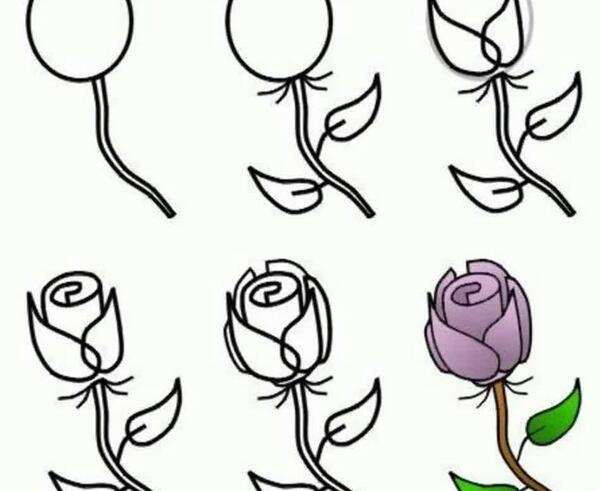 عکس نقاشی گل رز گام به گام