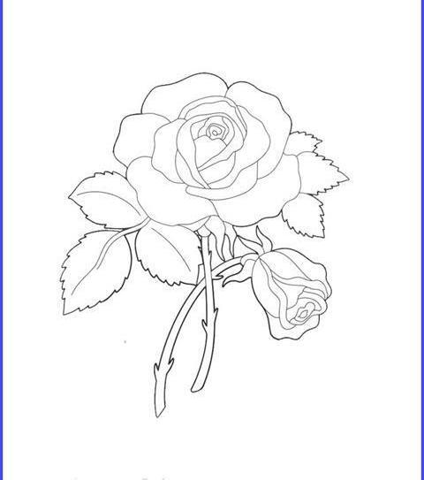 عکس نقاشی گل گیاهی