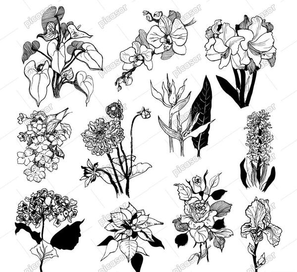 عکس نقاشی دسته گل گل رز
