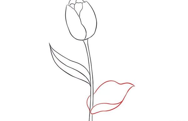 عکس نقاشی گل لاله واژگون کودکانه