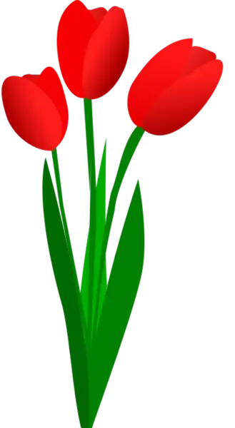 عکس نقاشی گل لاله خون شهیدان