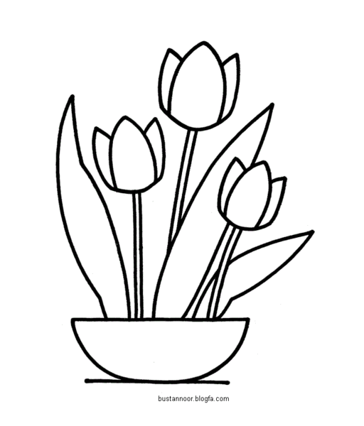عکس نقاشی گل لاله نماد شهیدان
