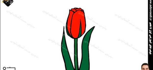 عکس آموزش نقاشی گل لاله زیبا