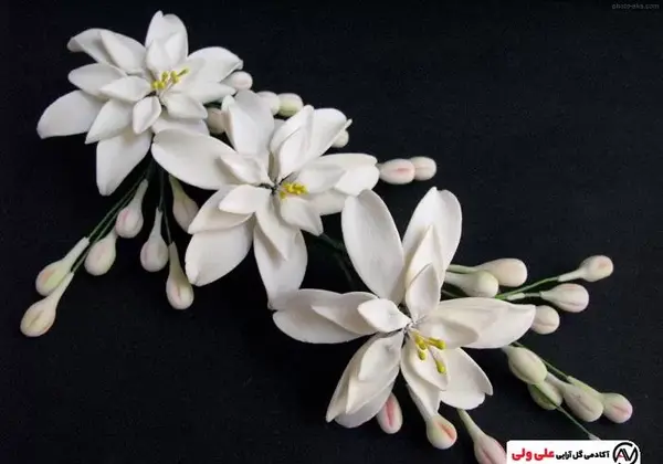 عکس نقاشی گل مریم مرحله به مرحله