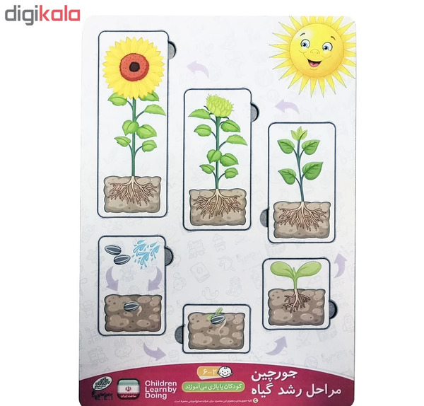 عکس نقاشی گل محمدی مرحله به مرحله