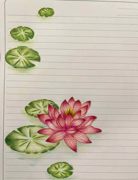 عکس نقاشی گل محمدی مرحله به مرحله